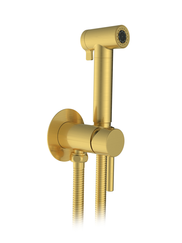 Встраиваемый гигиенический душ AltroBagno Modern 060117 BG