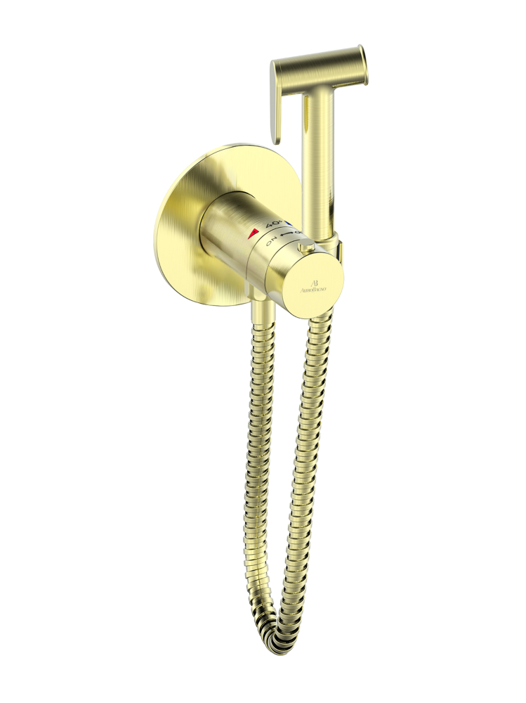 Гигиенический душ с термостатом AltroBagno Oggetto 060403 BG