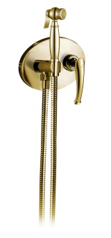 Встраиваемый гигиенический душ AltroBagno Beatrice 060113 Or